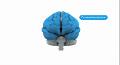 Brain tours: introduction to the brain