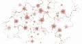 Brain tours: brain cells